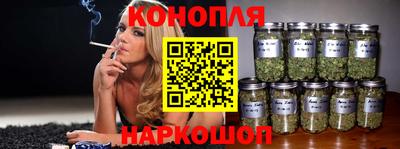эйфоретик Гай
