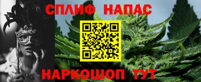 эйфоретик Гай