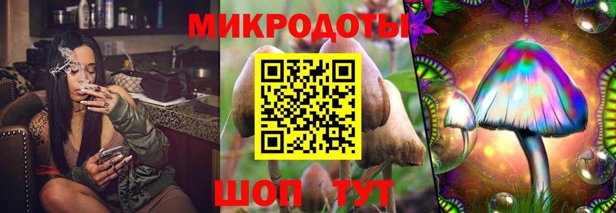 Зеленогорск  Псилоцибиновые грибы мицелий  Вход с VPN 